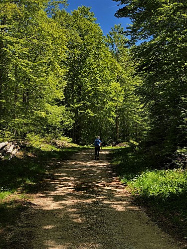 Circuit de randonnée du Tour de Retord