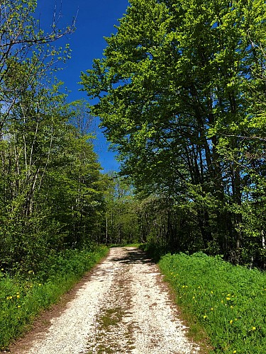 Circuit de randonnée du Tour de Retord