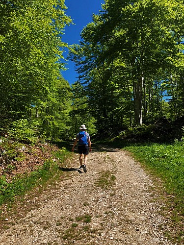 Randonnée le Tour de Retord