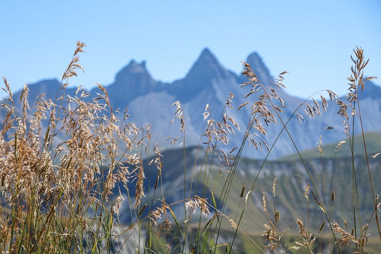 Aiguilles d'Arves en arrière plan