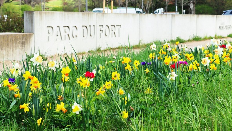 Parc du fort