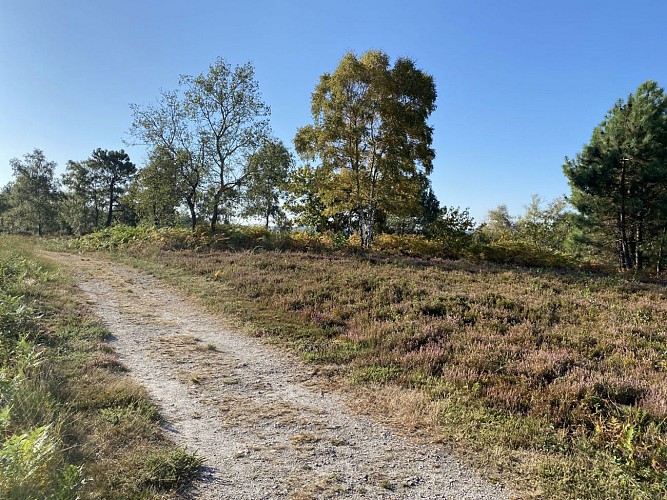 Petite montée vers le point de vue