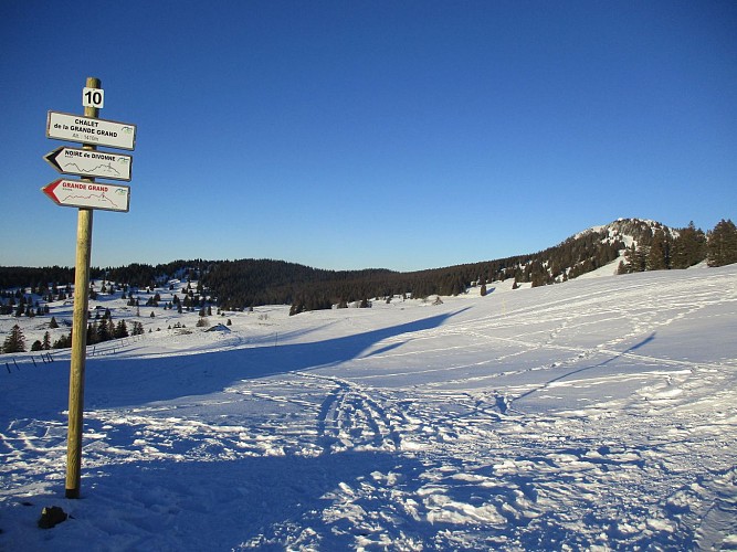 Schneeschuhpfad La Gelinotte