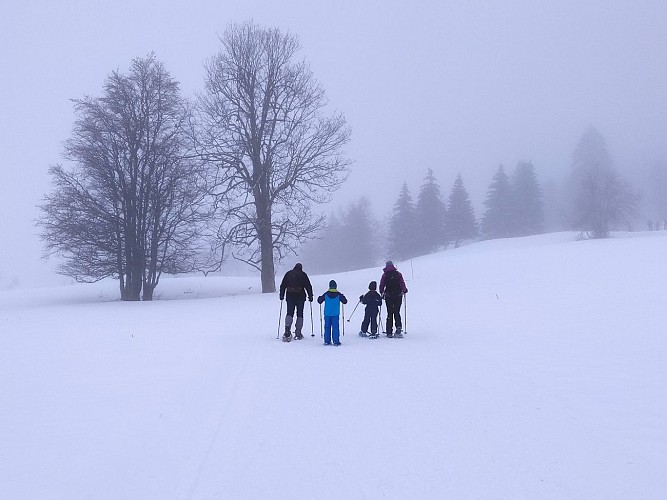 Sentier raquettes la Gelinotte_Mijoux