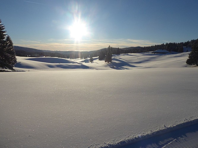 Schneeschuhpfad des Eichhörnchens