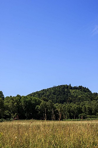 Le puy de Paugnat