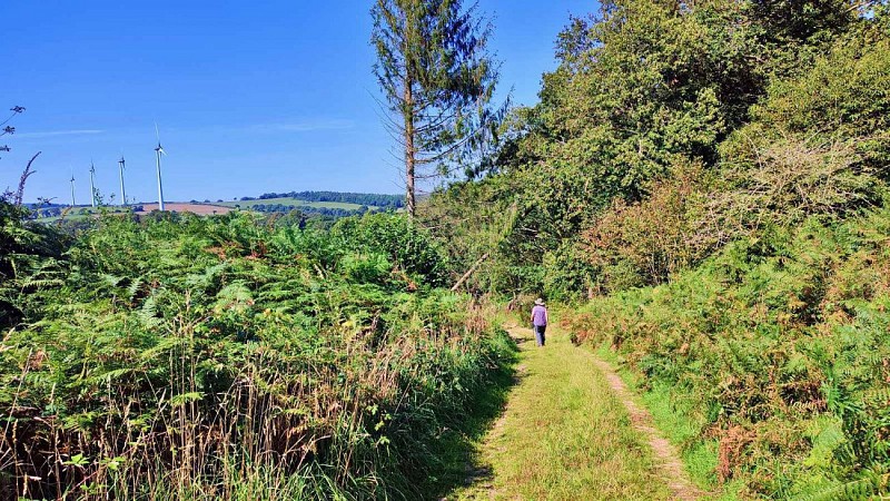 Chemin et vue