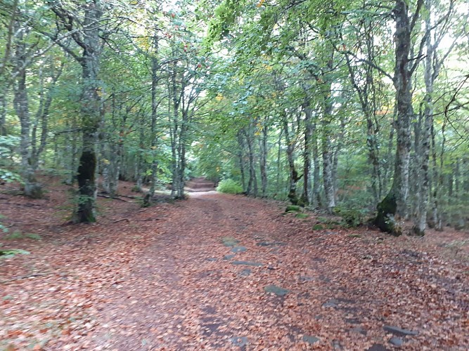 Sentier thématique de Brameloup