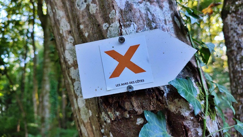 Le balisage de la boucle