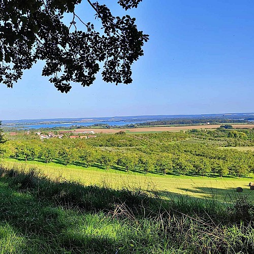 Le long des côtes de Meuse
