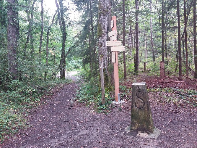 Ruta: sur les rives de la Vosogne