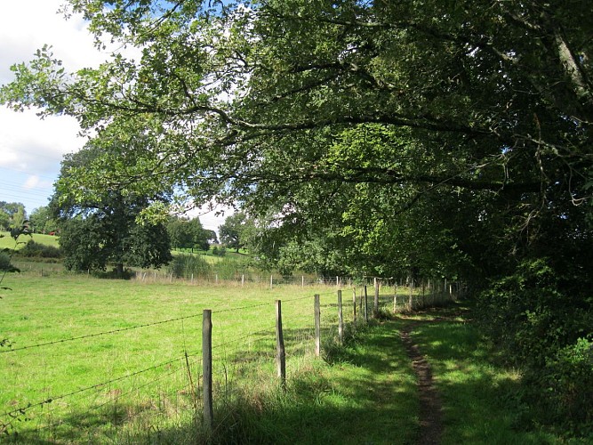 Chemin du Moulin Blanc web