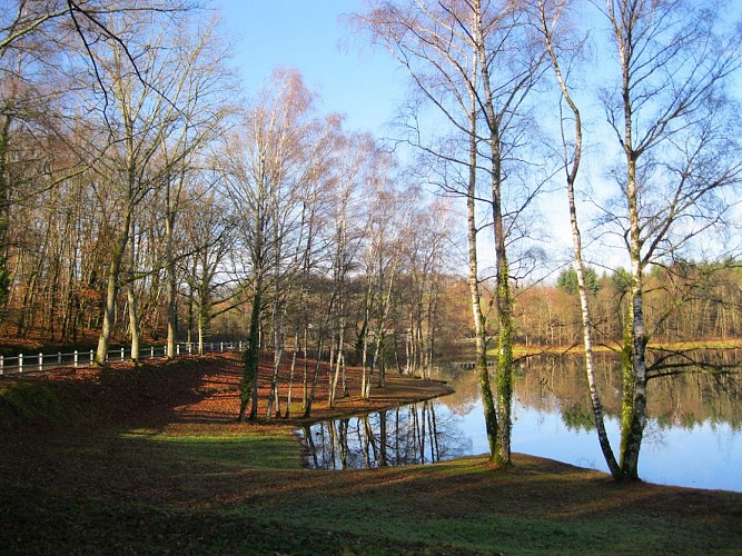 Réserve d'eau de la Mazelle en fin d'automne web