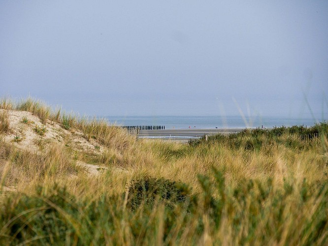 Dunes de Berck