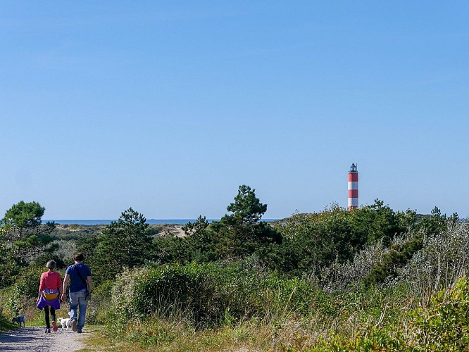 sentier dunaire