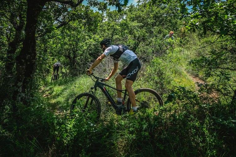 Descente technique