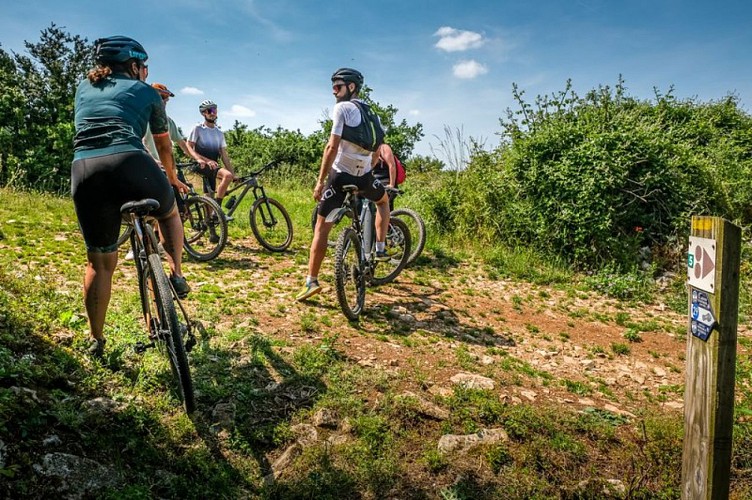 N°15 VTT - Panoramas caussenards