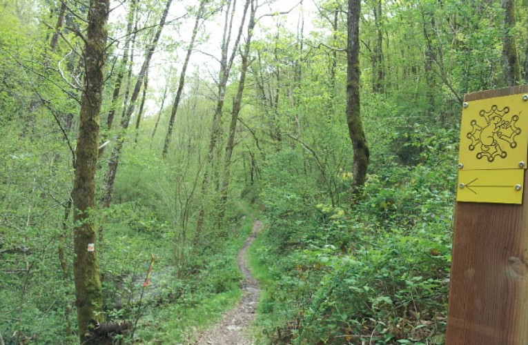 Le sentier dans les bois