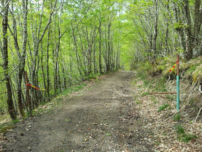 entrée du chemin privé