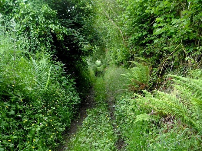 boucle-ouilly-le-vicomte1