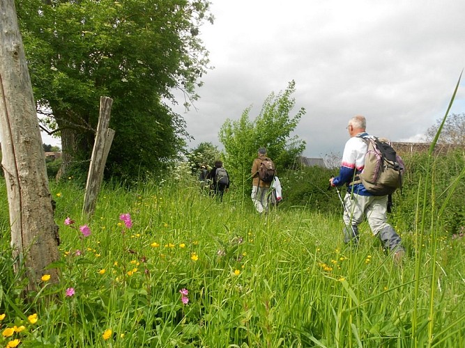 SAINT-JULIEN-DE-MAILLOC  : La ritournelle des oiseaux - 4,1KM