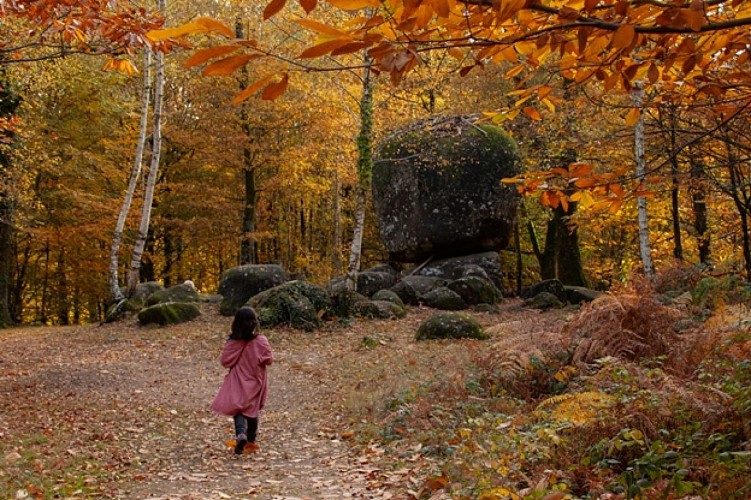 C15 circuit cyclo Les Mégalithes en famille