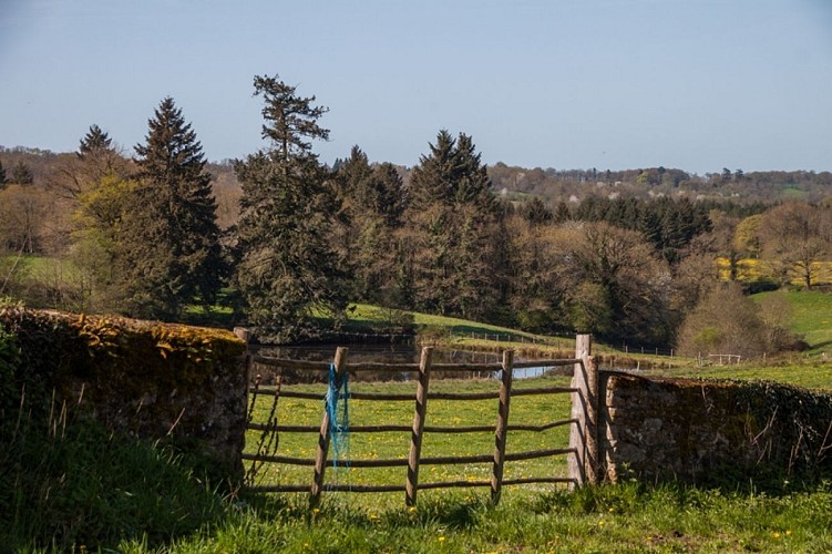 C21 circuit cyclo famille autour de Magnac-Laval et Villefavard