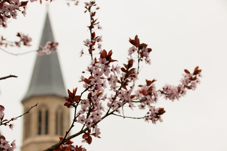 C9 circuit cyclo autour de Saint-Sulpice-les-Feuilles et Lussac-les-Eglises