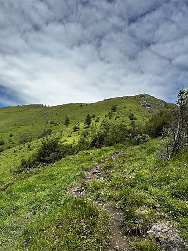 Pic d’Escurets (Col de Marie Blanque)