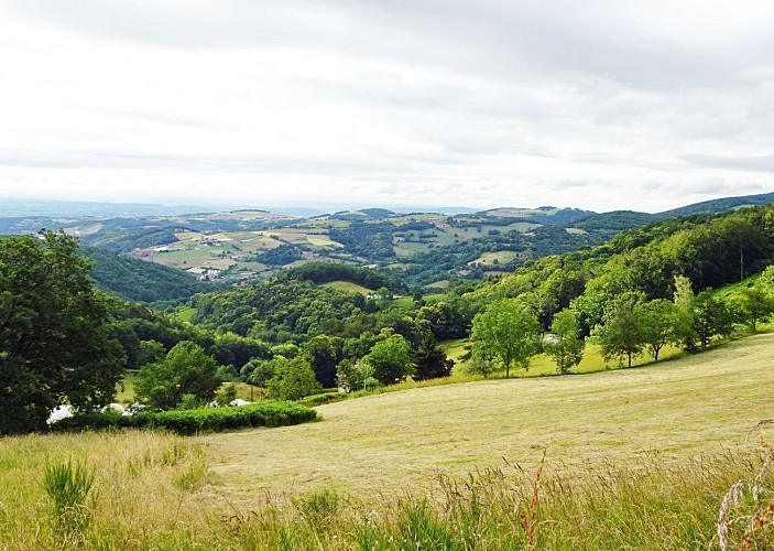 Dans les Monts du Lyonnais