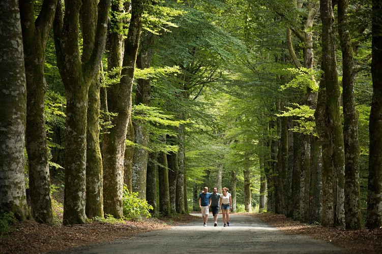 Meymac-route-des-he^tres-©M