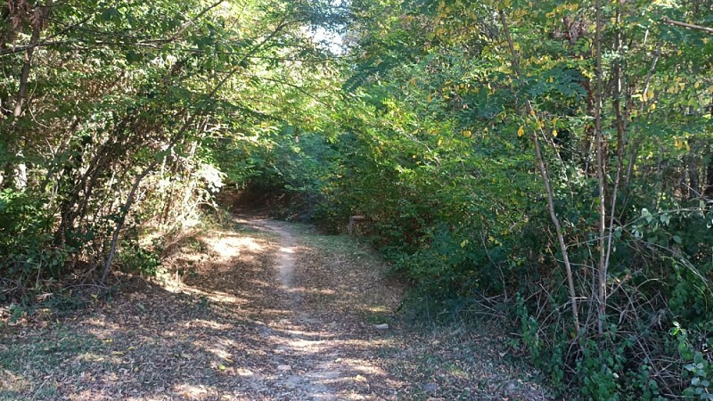 Saint Sauveur de Bergerac (22)