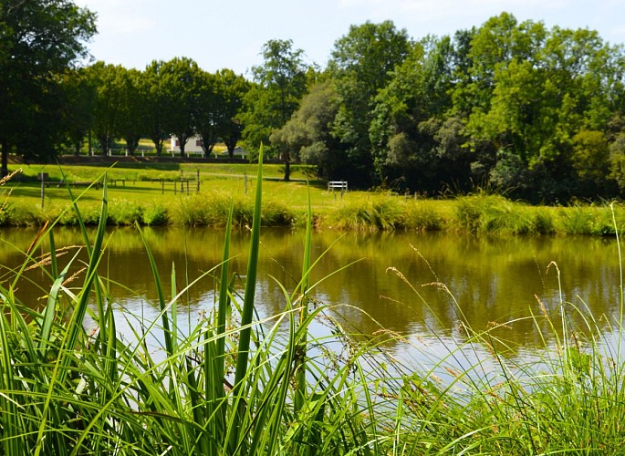 sentier-musical-de-pageas