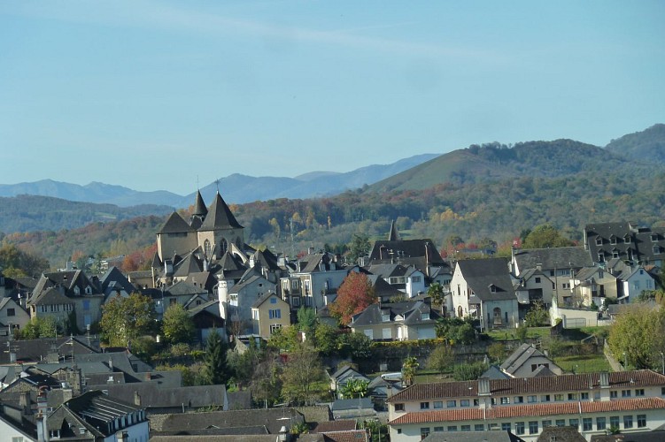 Vue sur Oloron