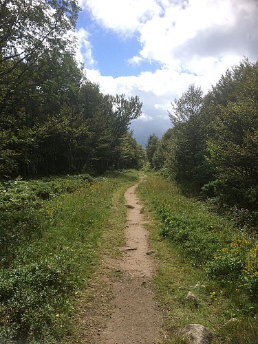 Le Hohneck par le Sentier des roches