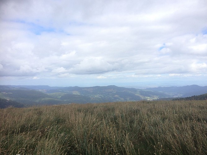 Le Hohneck par le Sentier des roches