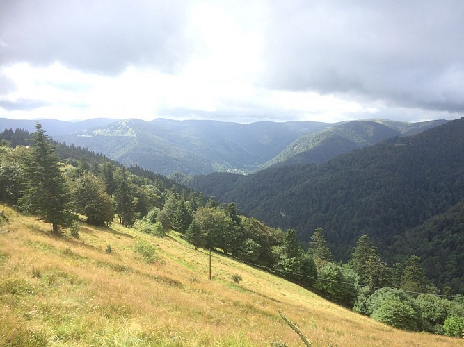 Le Hohneck par le Sentier des roches