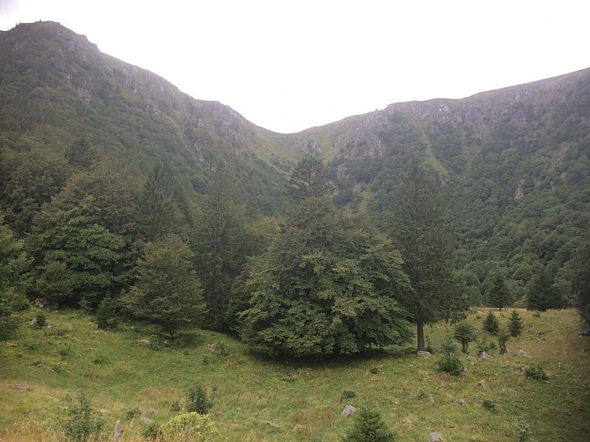 Le Hohneck par le Sentier des roches