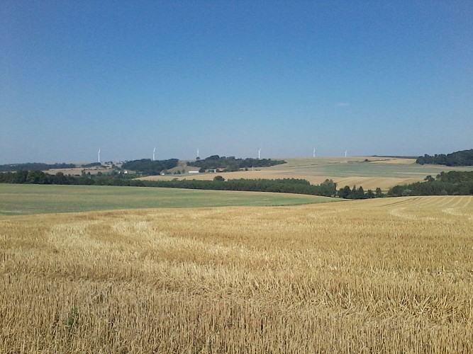 Ste Aulde Château-Thierry Ste Aulde -> Ste Aulde Château-Thierry Ste Aulde