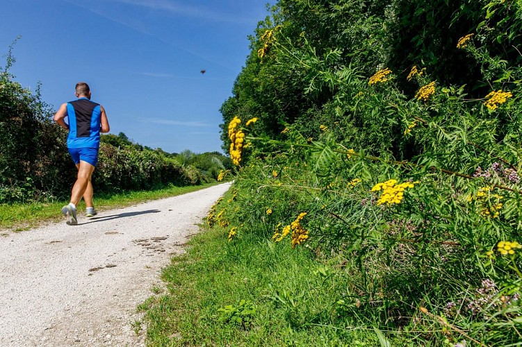 The Roses Path on foot
