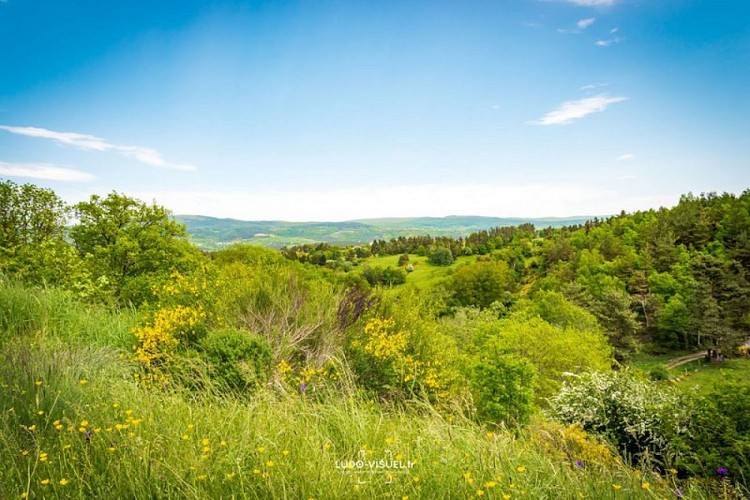 Vue sur la Margeride depuis Blavignac