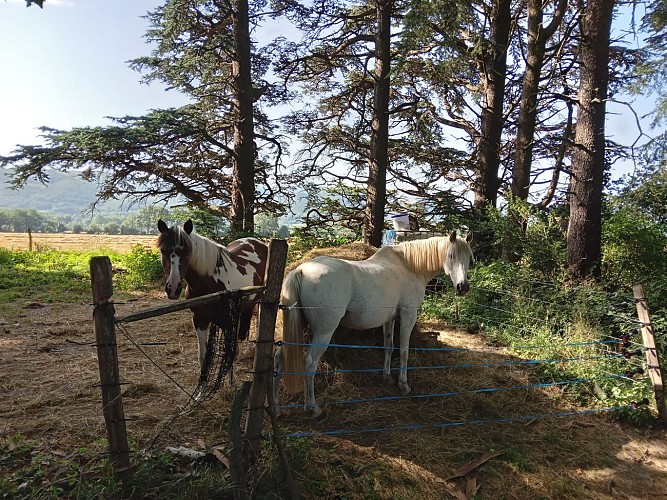 Les 3 ruisseaux à Dourgne