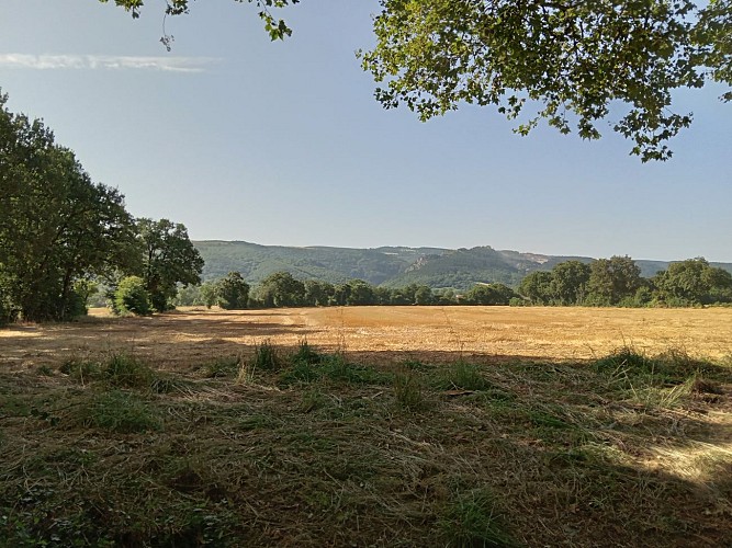 Les 3 ruisseaux à Dourgne