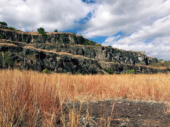 La plaine savane depuis le parc Rhoston - La Possession