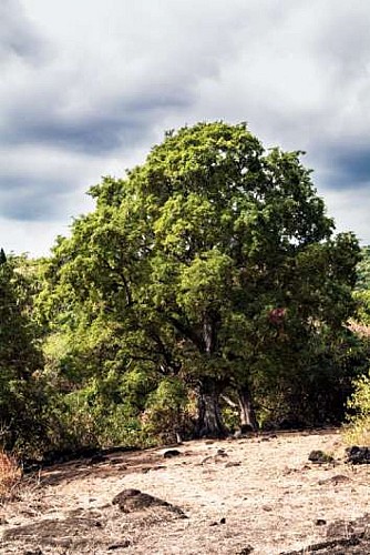La crête depuis le parc Rhoston - La possession