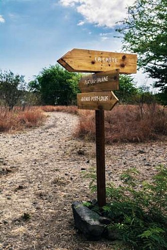 La crête depuis le parc Rhoston - La possession
