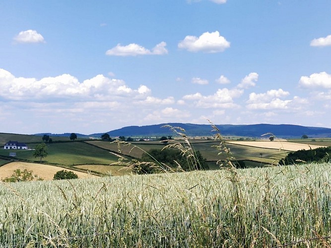 Paysage Saint-Bérain-sous-Sanvignes