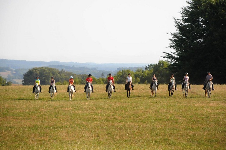 Cheval en Xaintrie Val'Dordogne