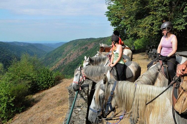 Cheval en Xaintrie Val'Dordogne