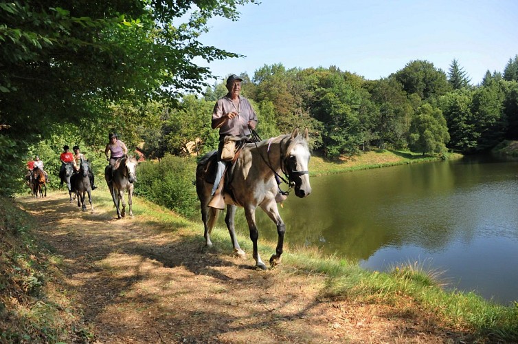 Cheval en Xaintrie Val'Dordogne